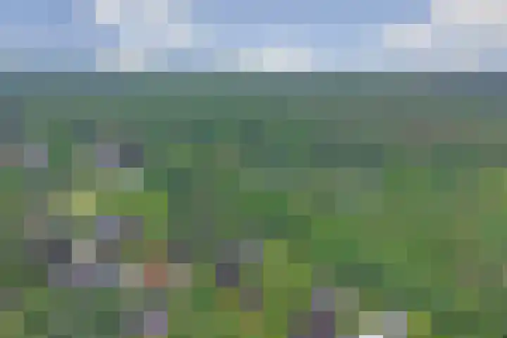 Veldekster 42 Ugchelen thumbnail 41
