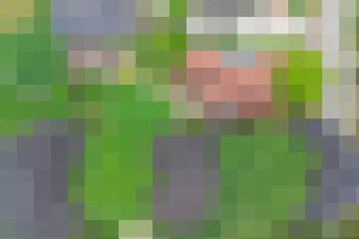 Veldekster 42 Ugchelen thumbnail 42