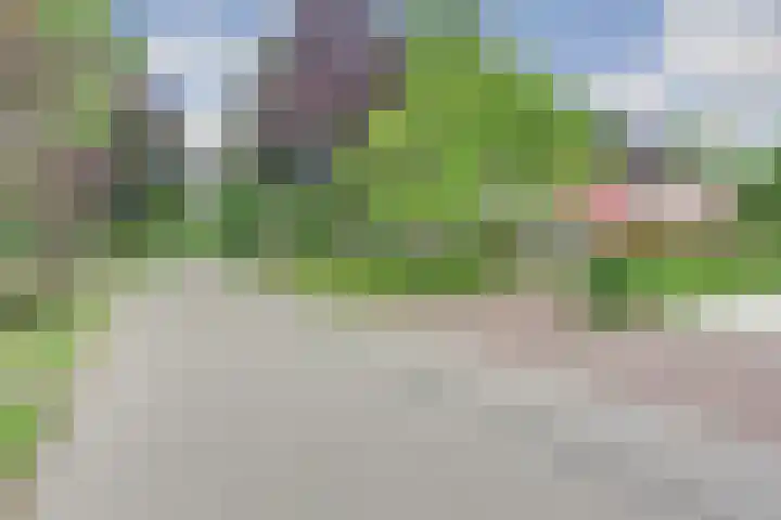 Veldekster 42 Ugchelen thumbnail 6