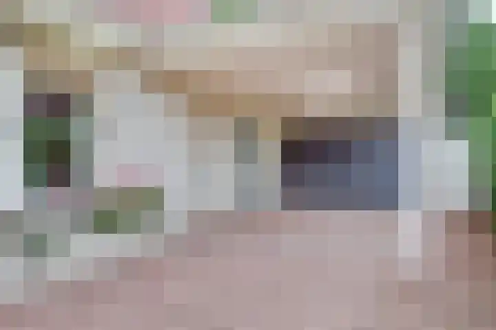 Veldekster 42 Ugchelen thumbnail 7