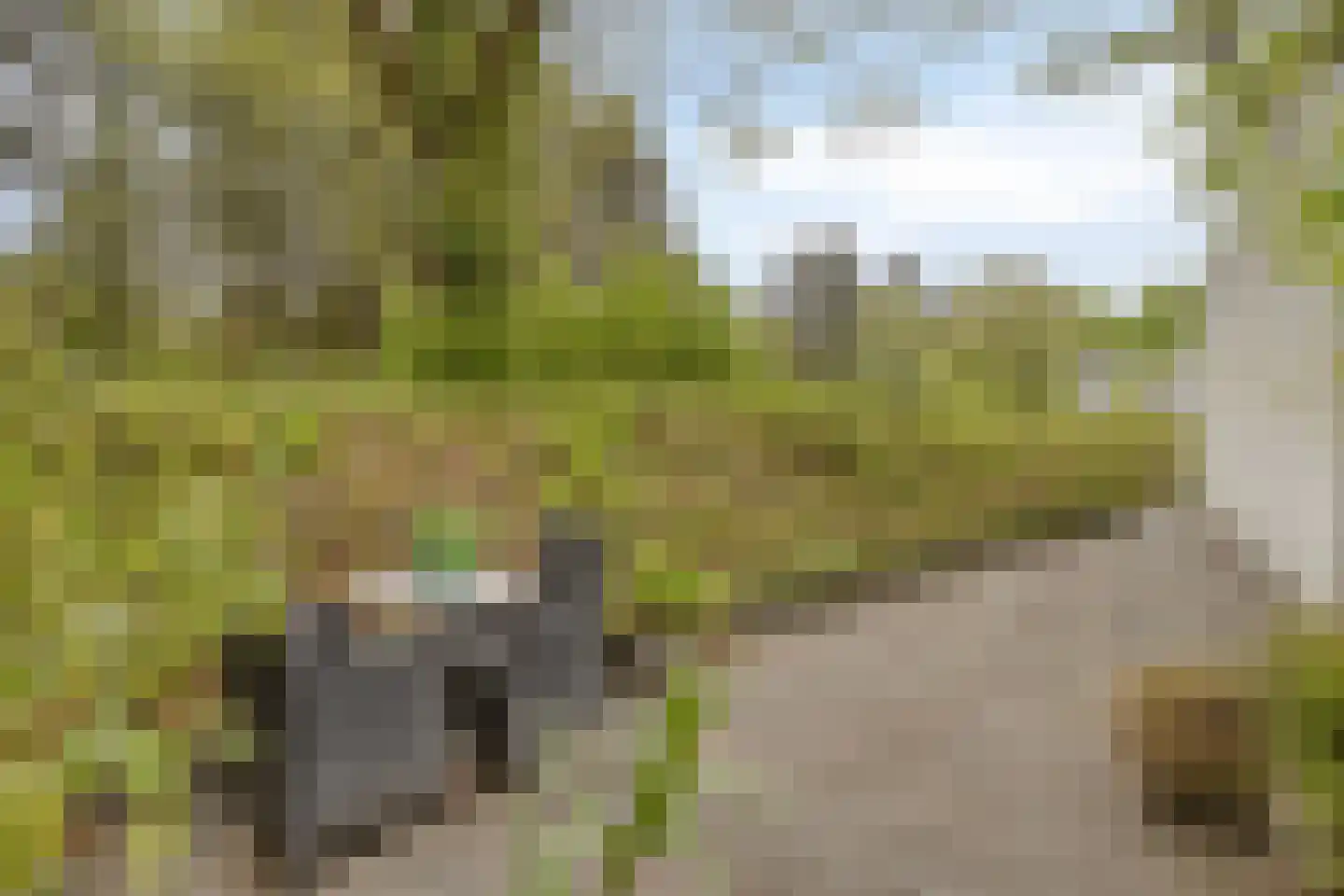 Veldekster 53 Ugchelen thumbnail 29