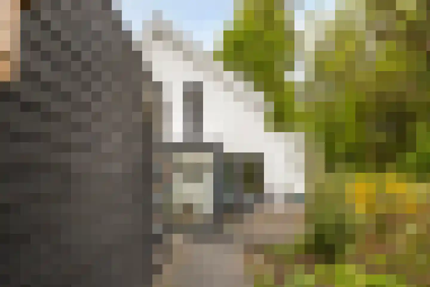 Veldekster 53 Ugchelen thumbnail 32