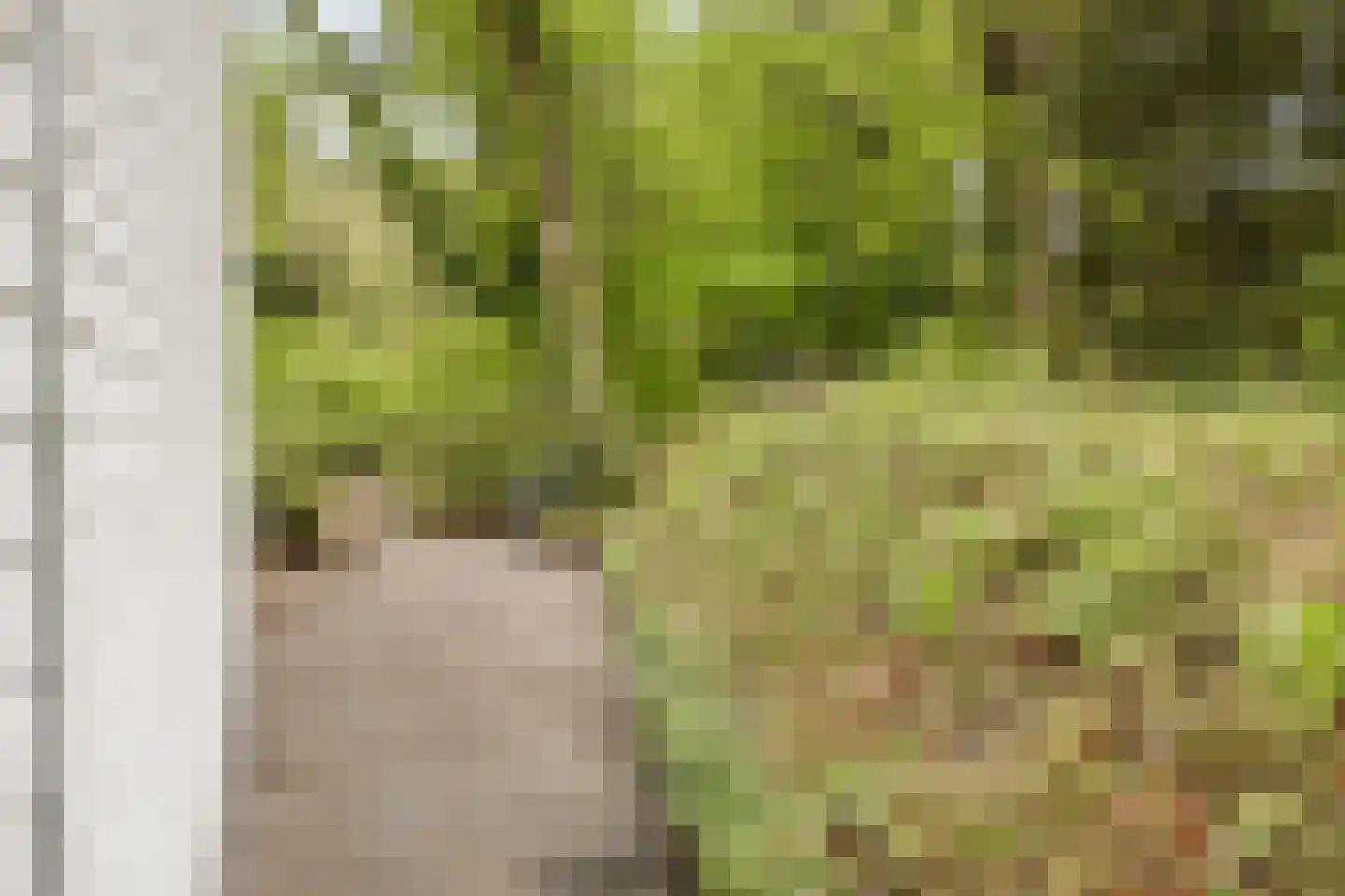 Veldekster 53 Ugchelen thumbnail 33