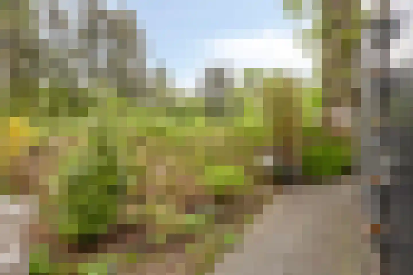 Veldekster 53 Ugchelen thumbnail 34