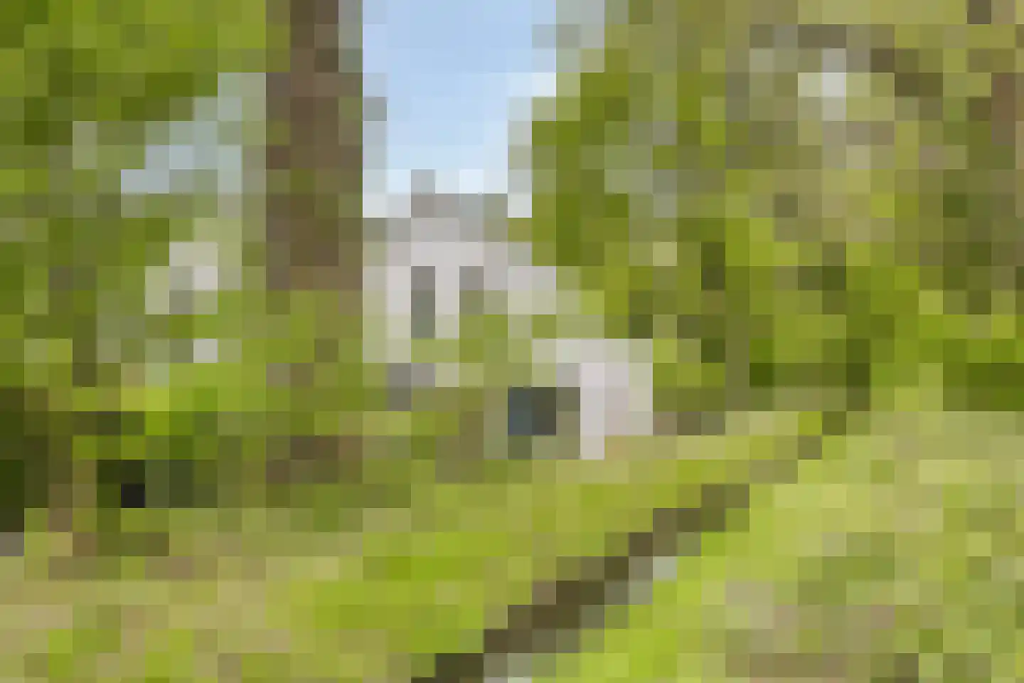 Veldekster 53 Ugchelen thumbnail 35