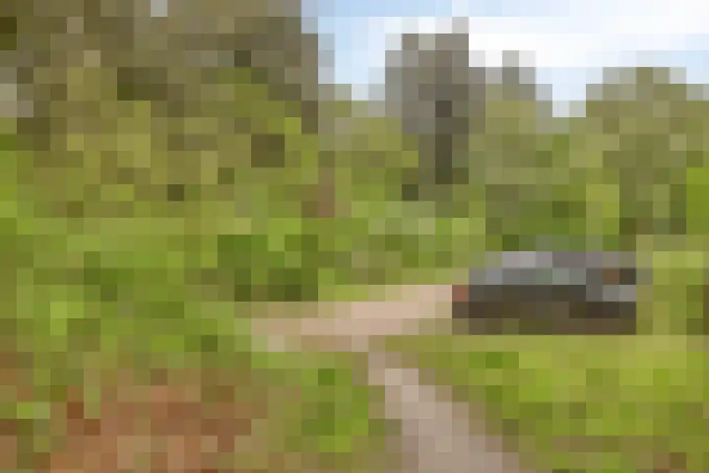 Veldekster 53 Ugchelen thumbnail 40