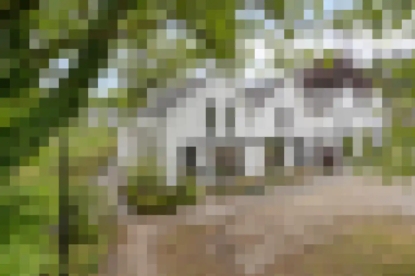 Veldekster 53 Ugchelen thumbnail 44