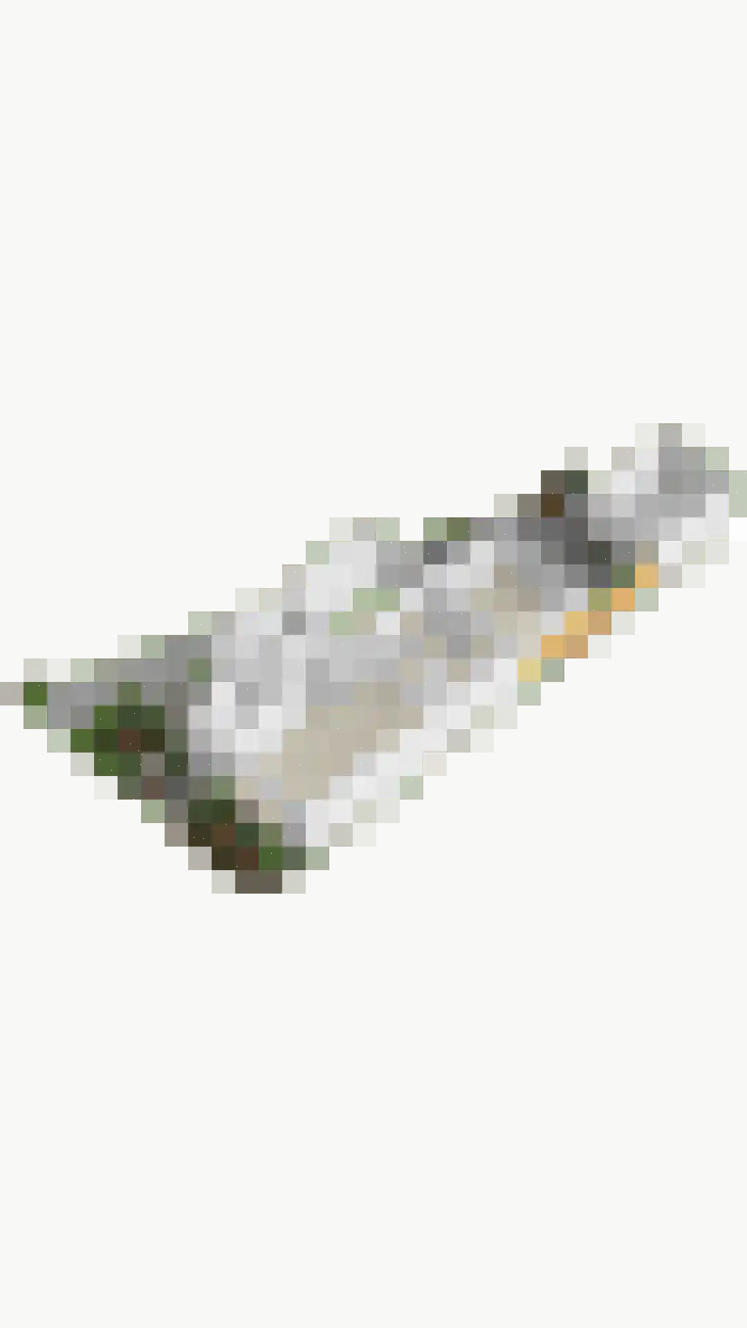 Veldekster 53 Ugchelen thumbnail 52