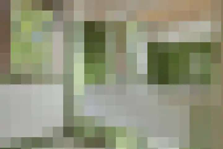 Veldeksterweg 11 Vaassen thumbnail 22