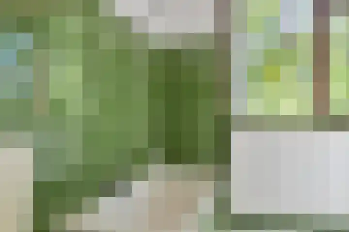 Veldeksterweg 11 Vaassen thumbnail 23