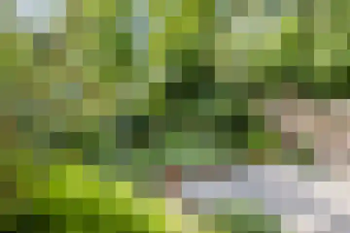 Veldeksterweg 11 Vaassen thumbnail 30