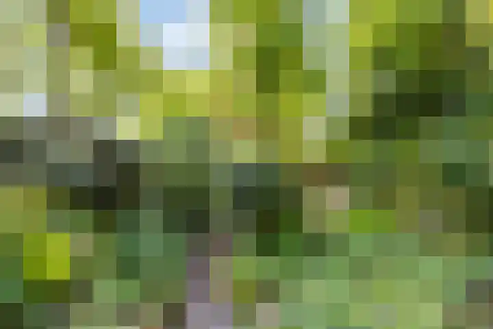 Veldeksterweg 11 Vaassen thumbnail 31
