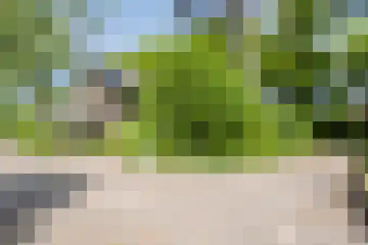 Veldeksterweg 11 Vaassen thumbnail 34
