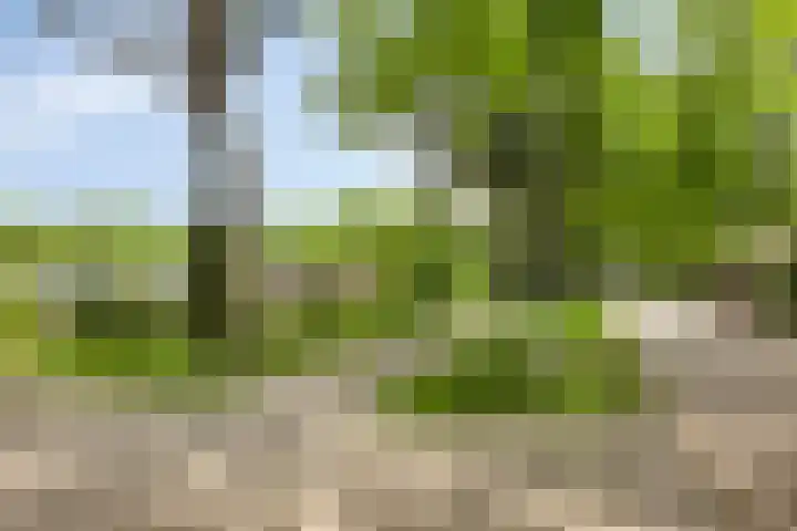 Veldeksterweg 11 Vaassen thumbnail 35
