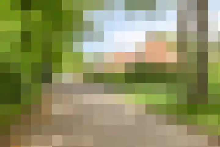 Veldeksterweg 11 Vaassen thumbnail 36