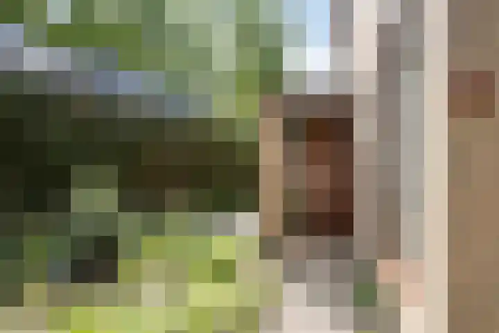Veldeksterweg 11 Vaassen thumbnail 4