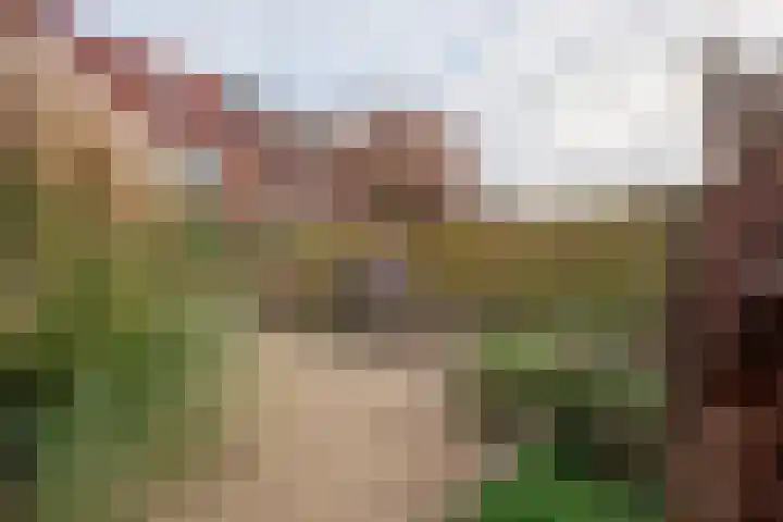 Veldenseweg 71 Venlo thumbnail 6
