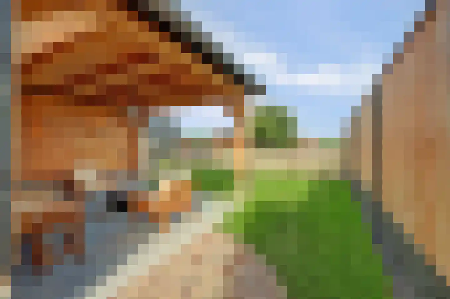 Veldensteinlaan 6 Jaarsveld thumbnail 47
