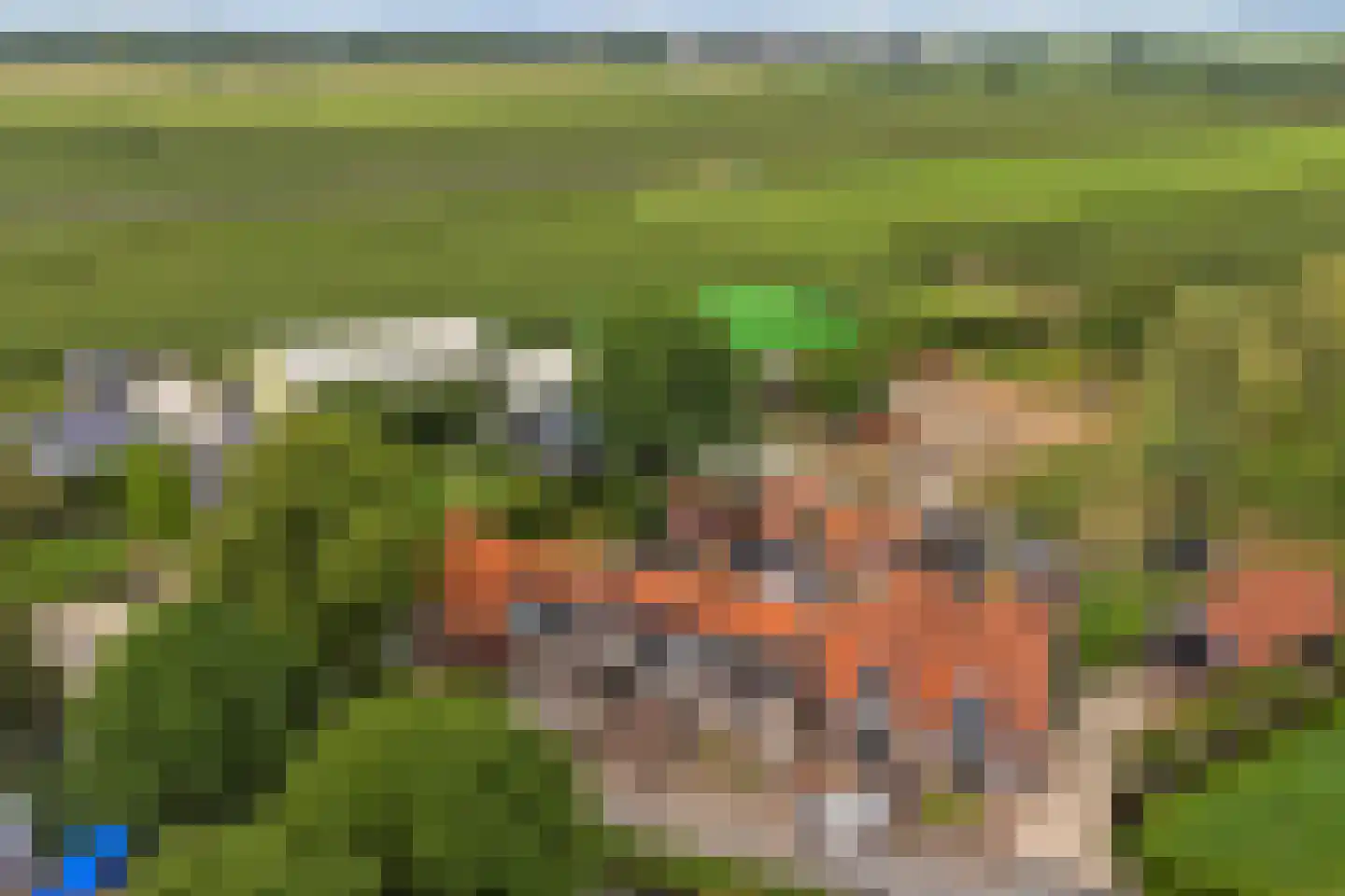Veldensteinlaan 6 Jaarsveld thumbnail 61