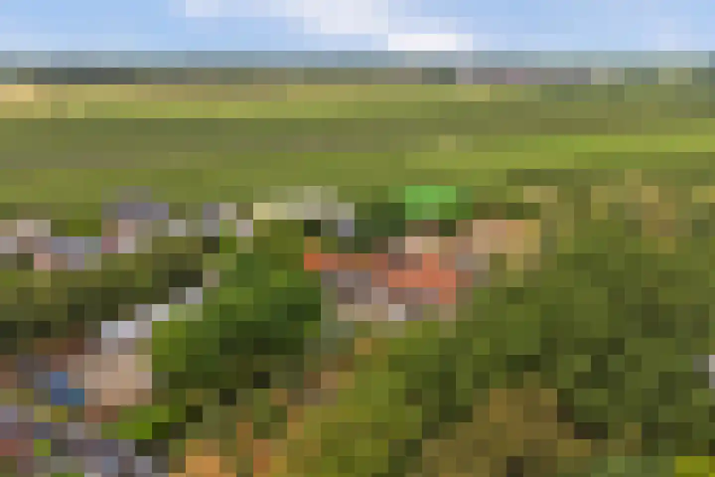Veldensteinlaan 6 Jaarsveld thumbnail 62