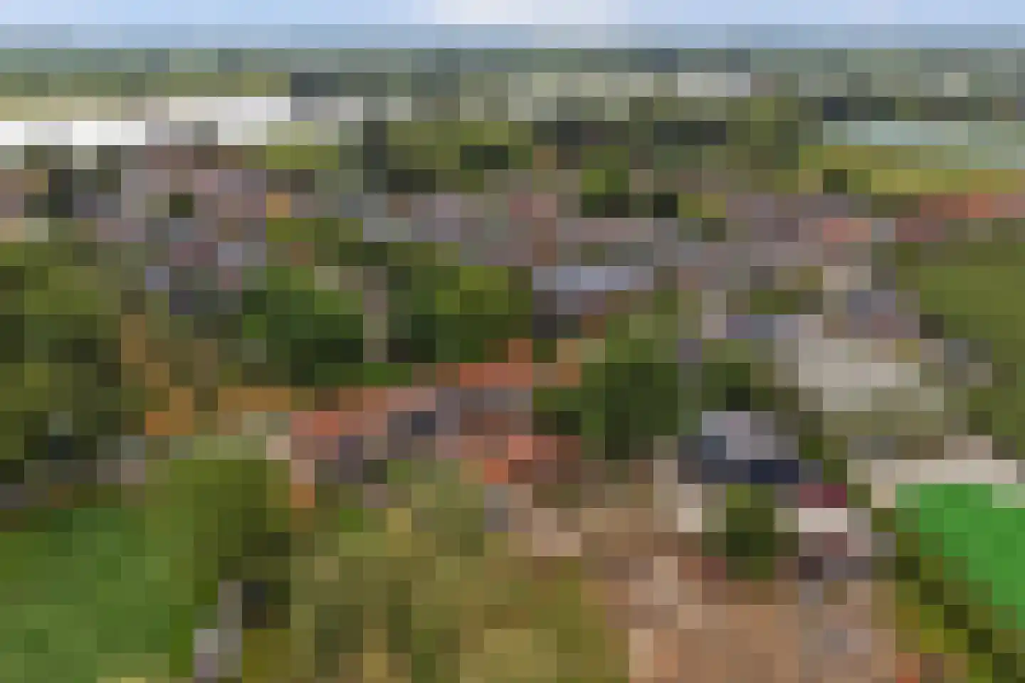 Veldensteinlaan 6 Jaarsveld thumbnail 65