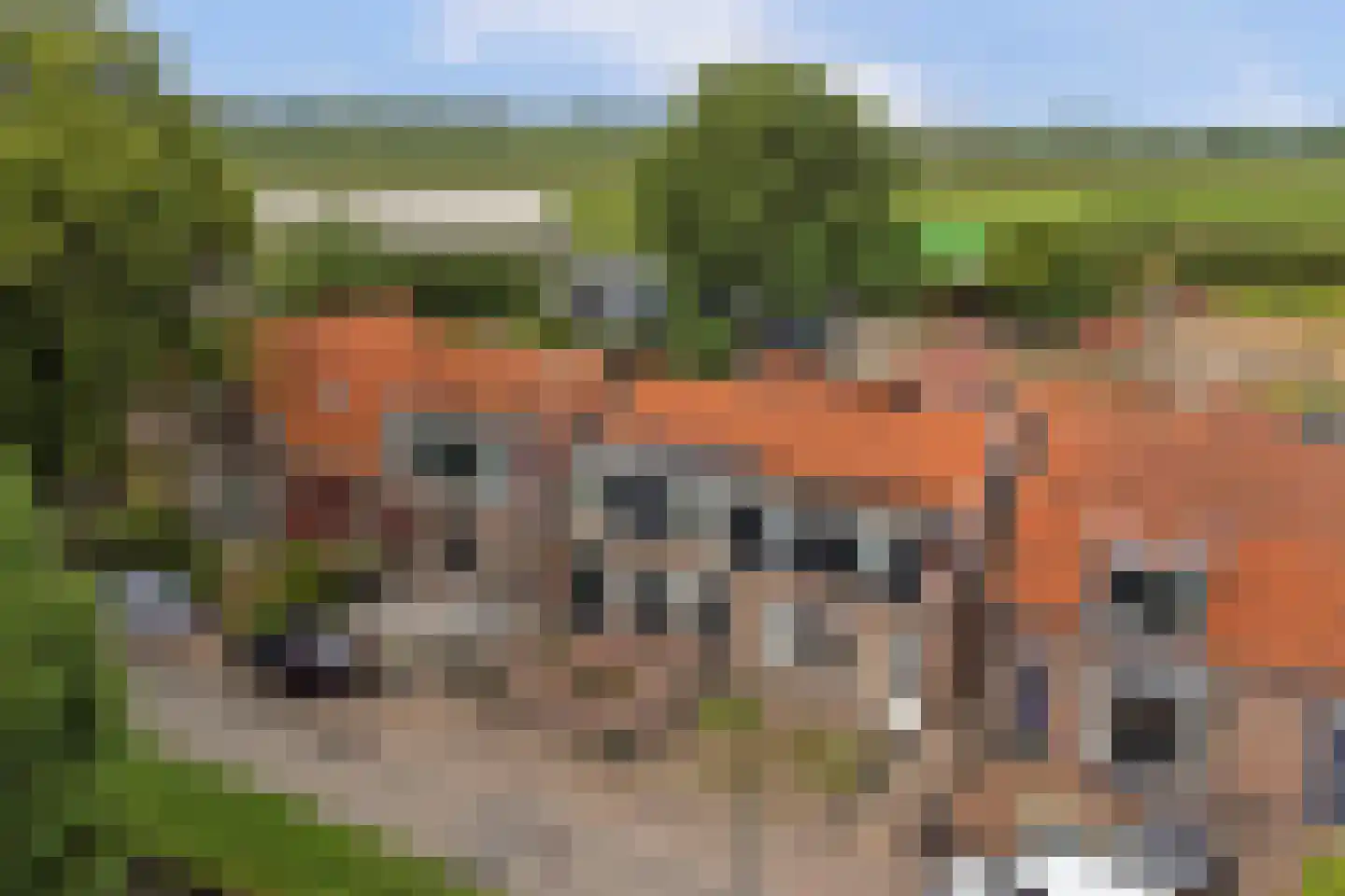 Veldensteinlaan 6 Jaarsveld thumbnail 7