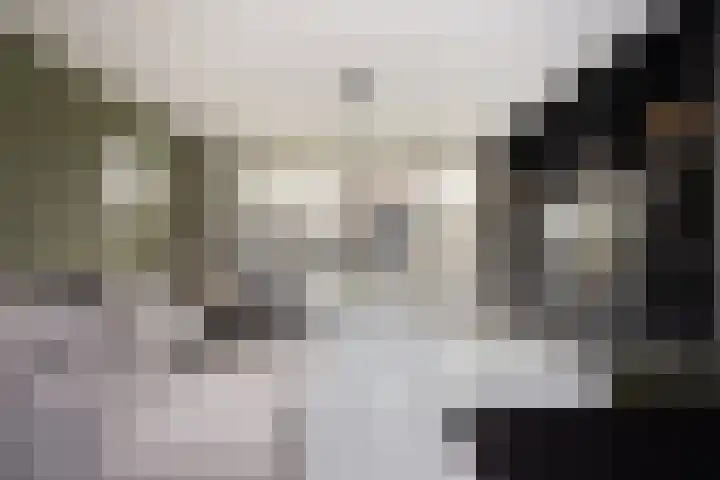 Velder 3 Waalwijk thumbnail 10