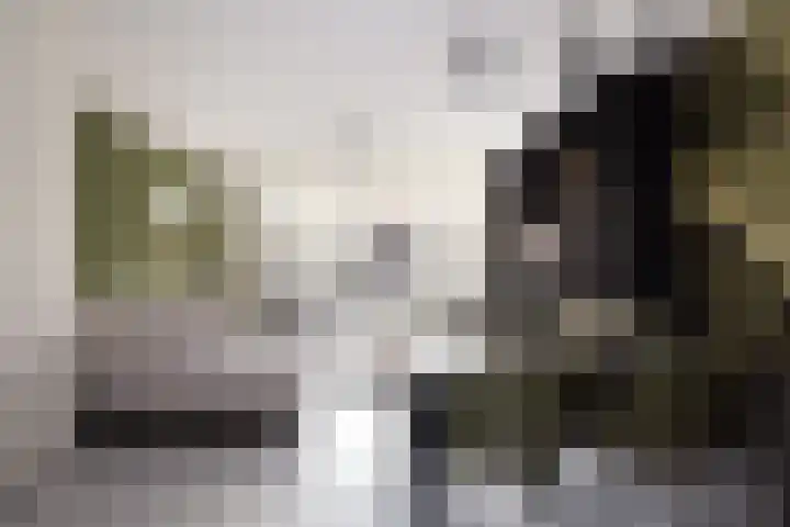 Velder 3 Waalwijk thumbnail 19