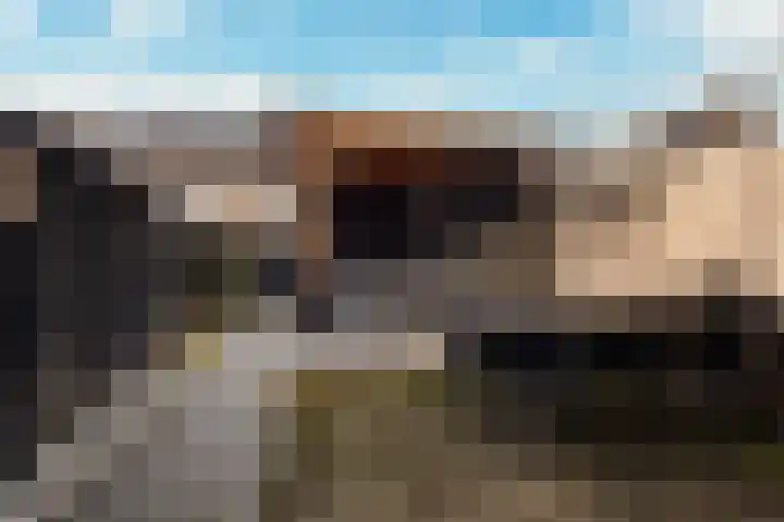 Velder 3 Waalwijk thumbnail 20