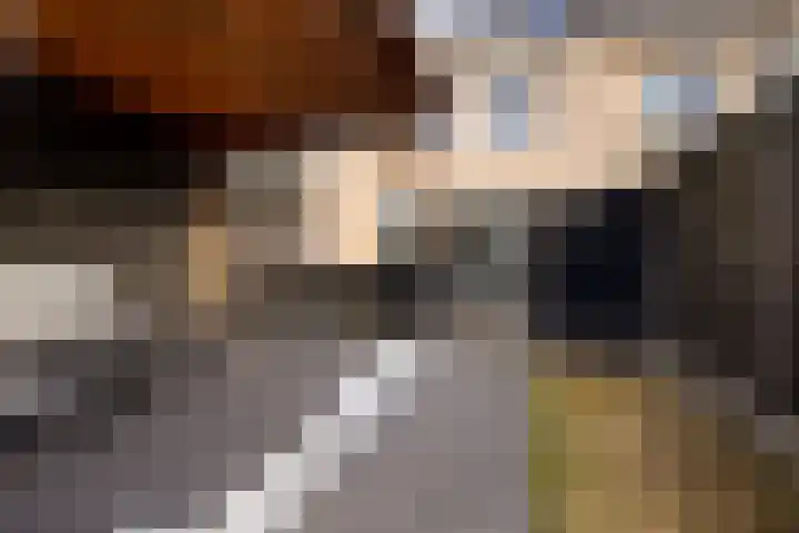 Velder 3 Waalwijk thumbnail 23