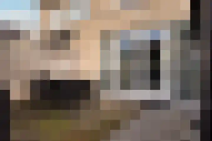 Velder 3 Waalwijk thumbnail 24
