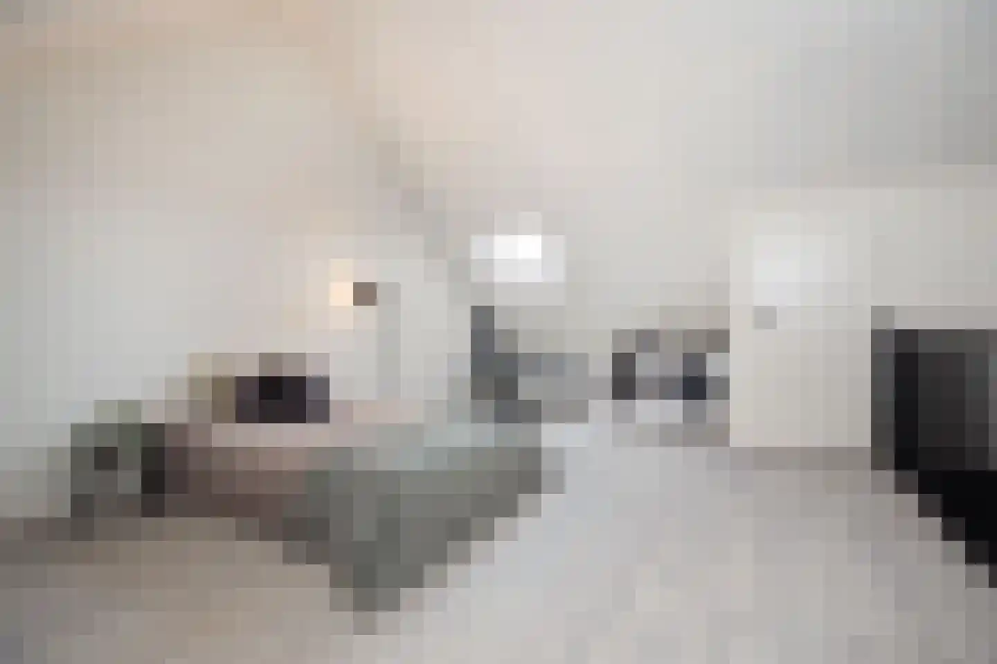 Velder 3 Waalwijk thumbnail 35