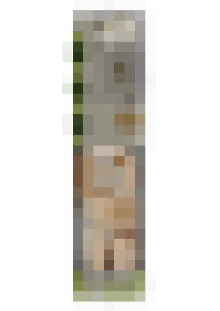 Velder 3 Waalwijk thumbnail 41