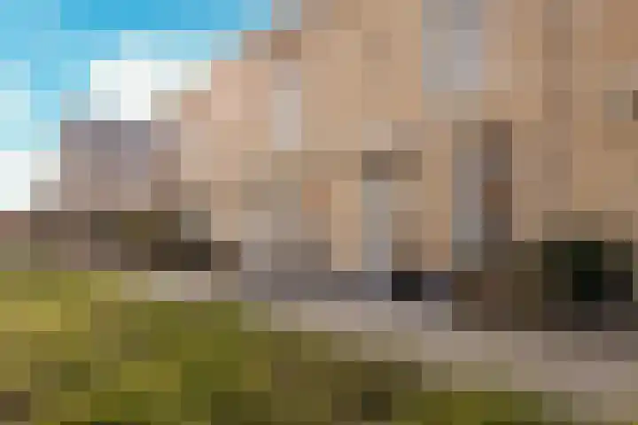 Velder 3 Waalwijk thumbnail 6