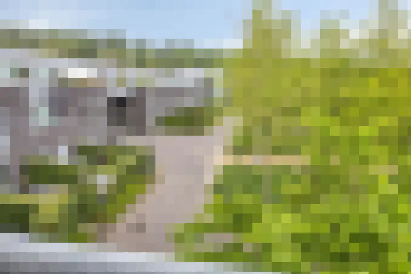 Velderwoude 13 's-Hertogenbosch thumbnail 24