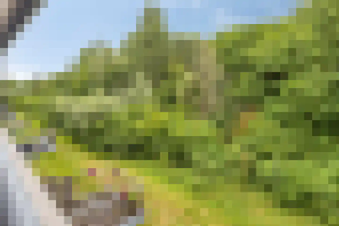 Velderwoude 13 's-Hertogenbosch thumbnail 8