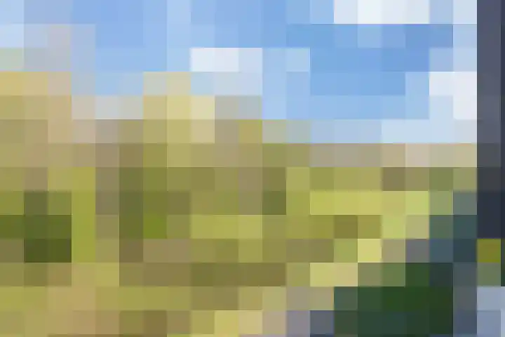 Velderwoude 23 's-Hertogenbosch thumbnail 25