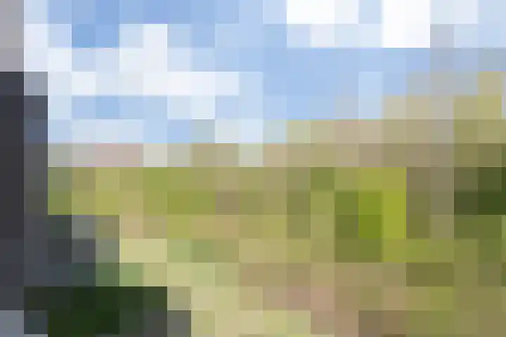 Velderwoude 23 's-Hertogenbosch thumbnail 26