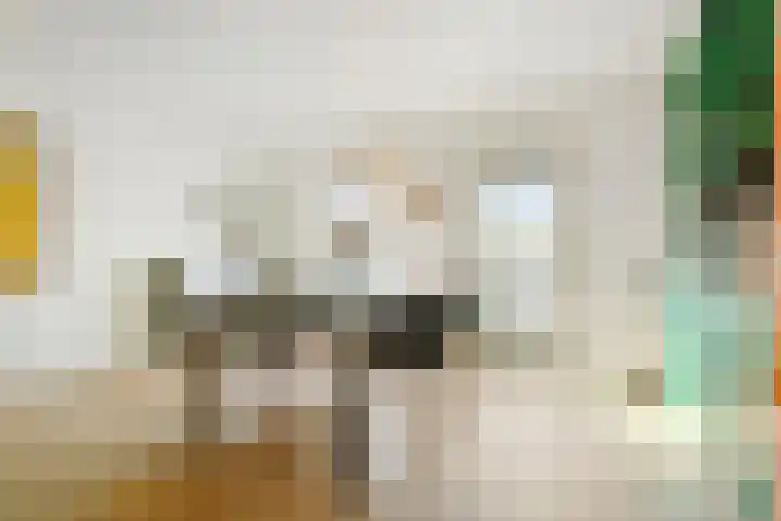 Velderwoude 23 's-Hertogenbosch thumbnail 30