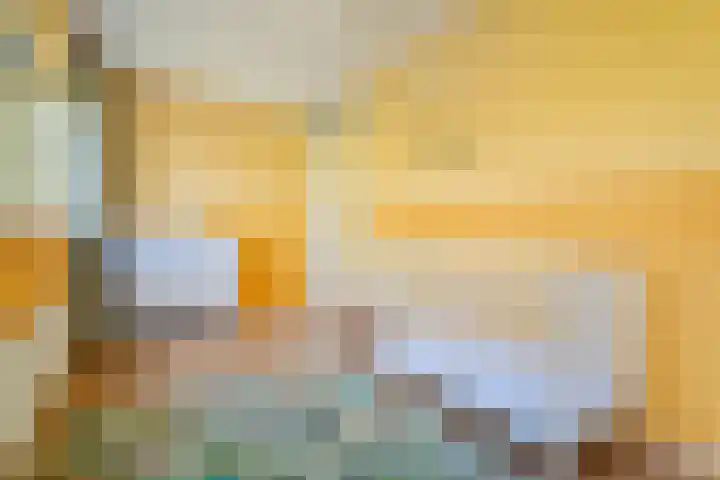 Velderwoude 23 's-Hertogenbosch thumbnail 34