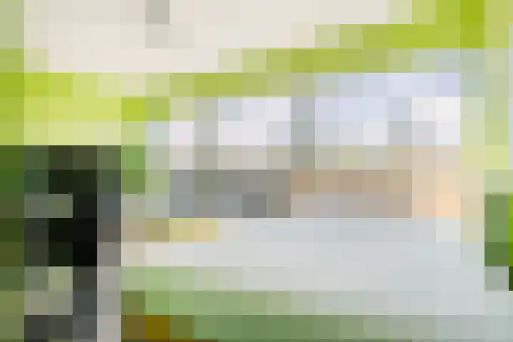 Velderwoude 23 's-Hertogenbosch thumbnail 37