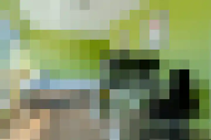 Velderwoude 23 's-Hertogenbosch thumbnail 38