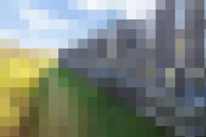 Velderwoude 23 's-Hertogenbosch thumbnail 46
