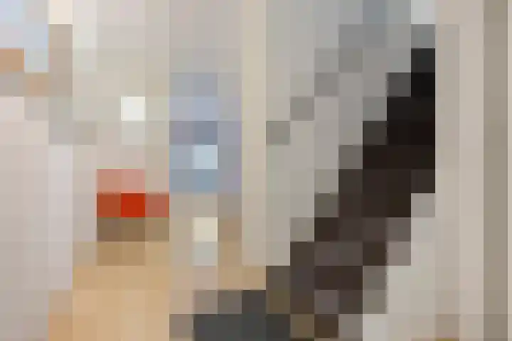 Velderwoude 25 's-Hertogenbosch thumbnail 11