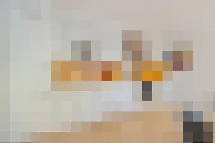 Velderwoude 25 's-Hertogenbosch thumbnail 16