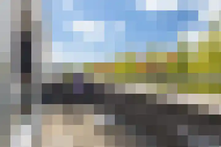 Velderwoude 25 's-Hertogenbosch thumbnail 22