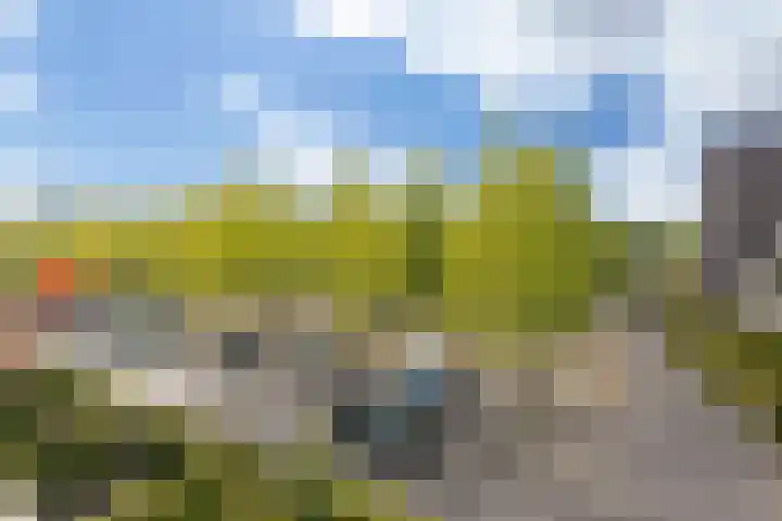 Velderwoude 25 's-Hertogenbosch thumbnail 23