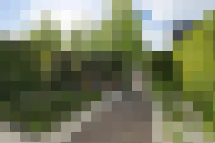 Velderwoude 25 's-Hertogenbosch thumbnail 30