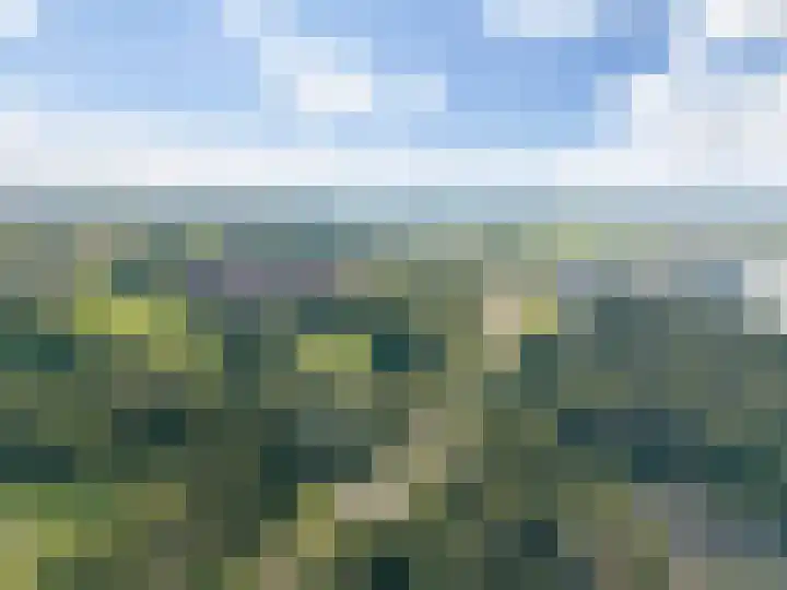 Velderwoude 25 's-Hertogenbosch thumbnail 31