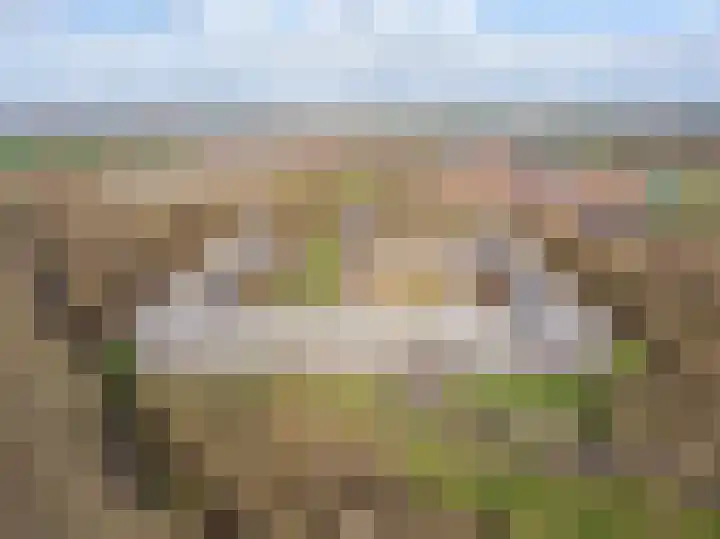 Velderwoude 25 's-Hertogenbosch thumbnail 32